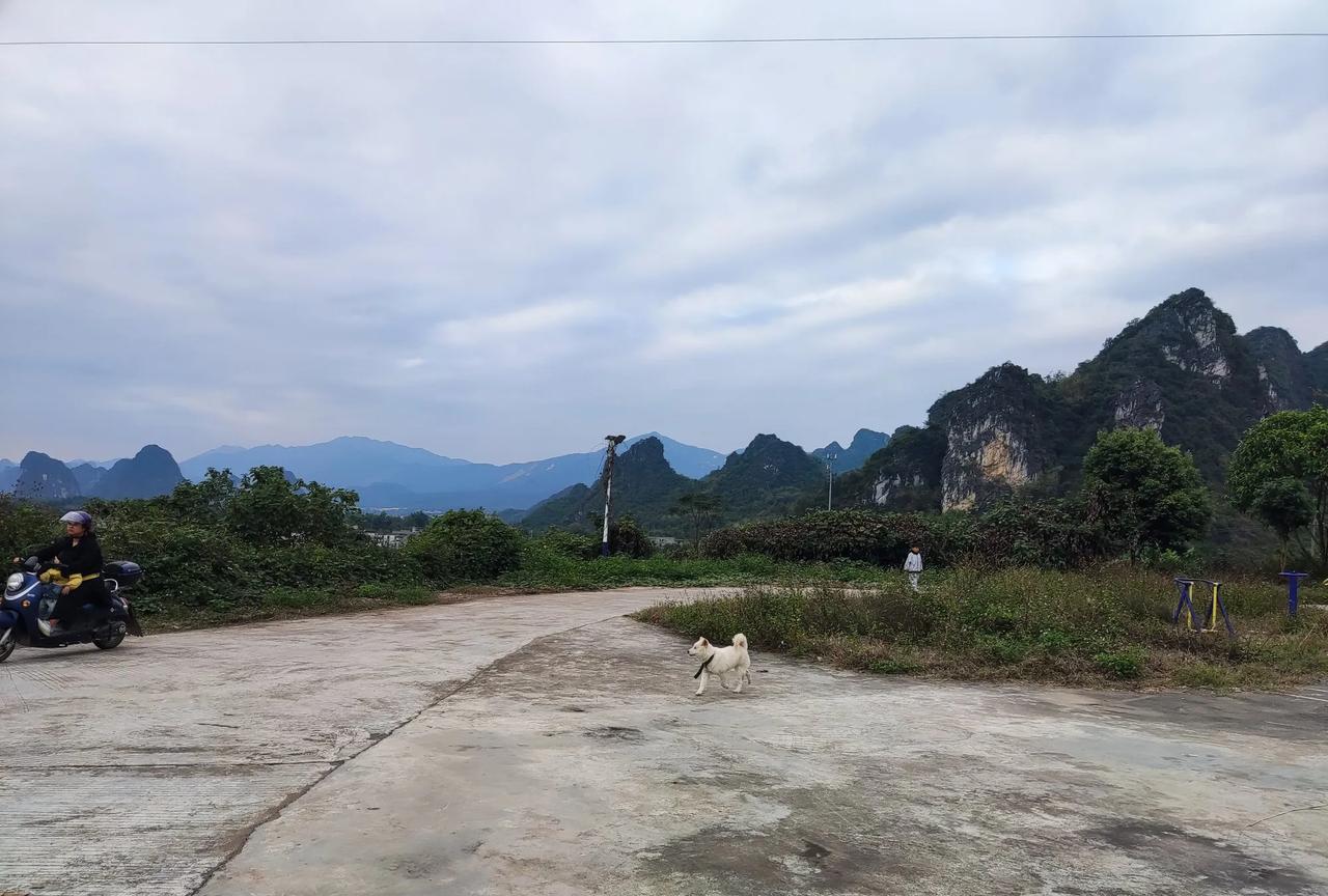 #农民不旅游的原因是什么#不要让没当过农民人说，依我看，还是让农民朋友自己怎么