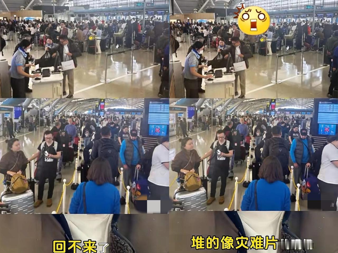 女朋友谁都劝不住，非要去日本旅行。结果刚到没几天，多家中国航空公司调整对日航班服