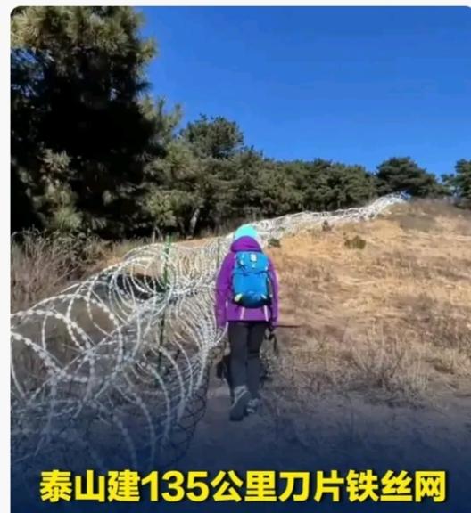 泰山135公里刀片网已经被拆除部分。7月1日已经拆除80%，剩下的20%在7月