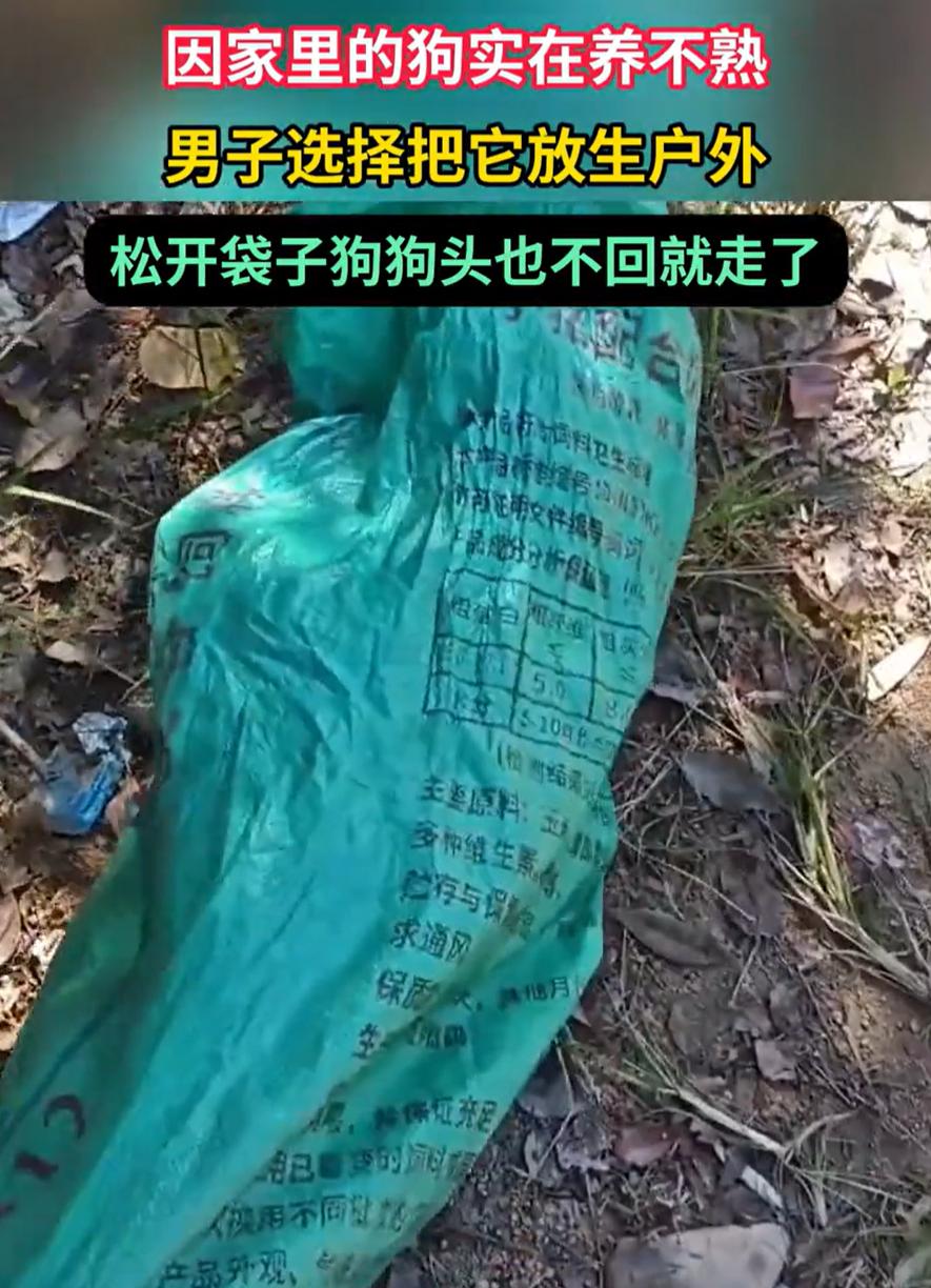 “这咬到人怎么办？”一男子因为家养的狗实在养不熟，于是将狗放在麻袋里，带到户外放