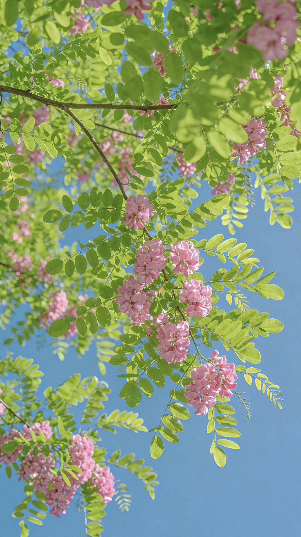 如何判断天蝎对你特别上头第一，你不找他，他绝对不会找你。第二，如果你跟他说话