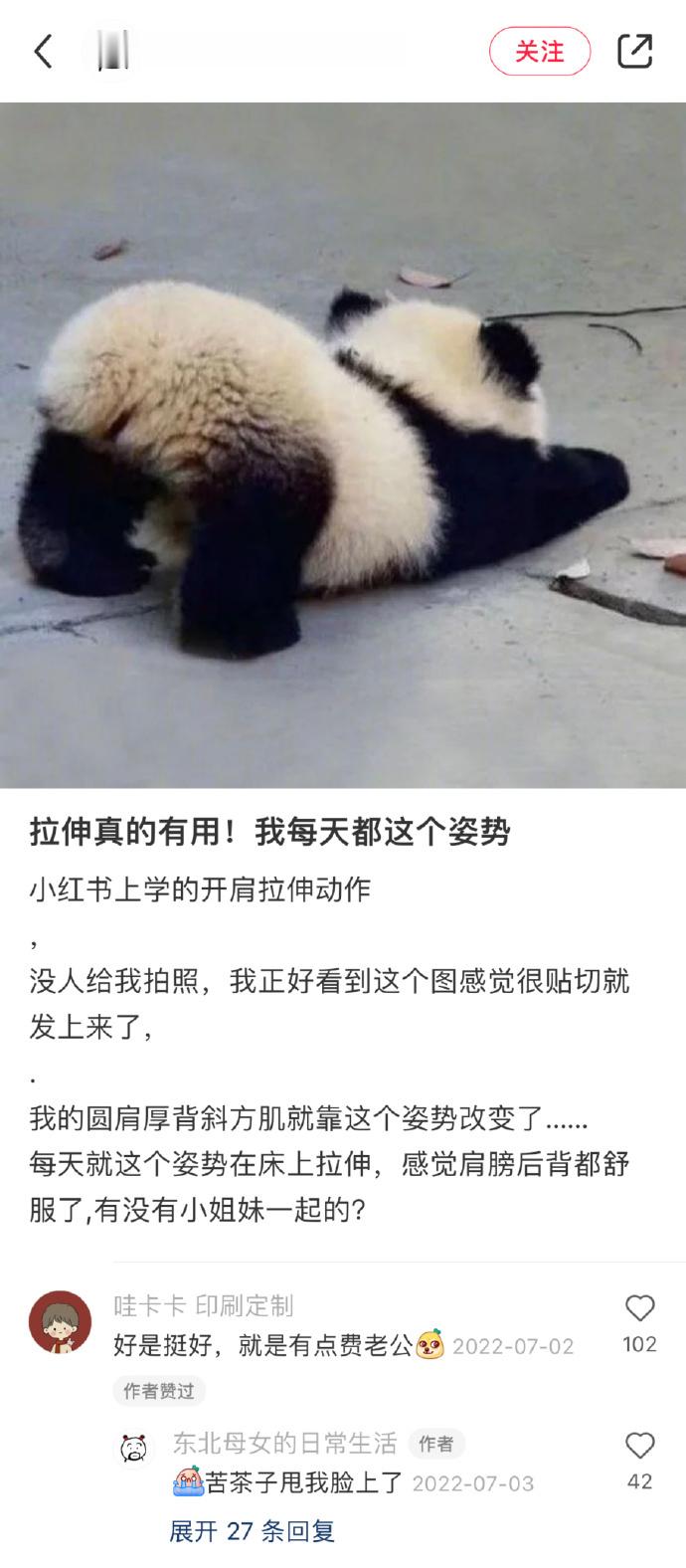 中国网友的冷知识就是最屌的