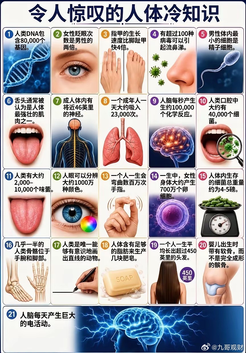 令人惊叹的人体冷知识