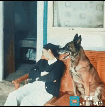 狗：我是哑巴吃黄连，有苦说不出！[打脸]