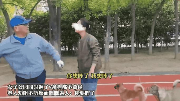 女子公园同时溜9条狗都不牵绳，被大爷劝阻，反而咄咄逼人。狗这种东西一旦成群，如