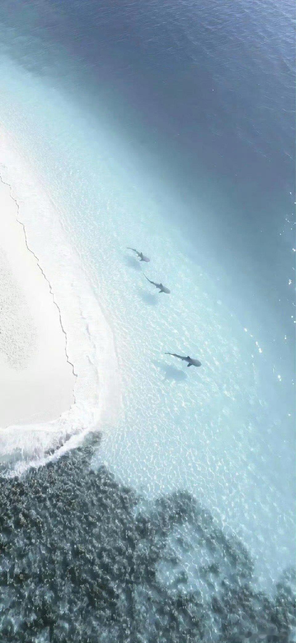 手机壁纸｜清冷蓝调壁纸｜高级冷淡风｜干净通透质感｜小众不撞款｜简约又有格调