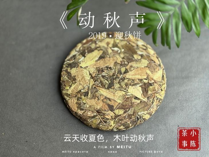 分不清茶叶保质期？记好这张表！①绿茶保质期：12个月。②黄茶保质期：12