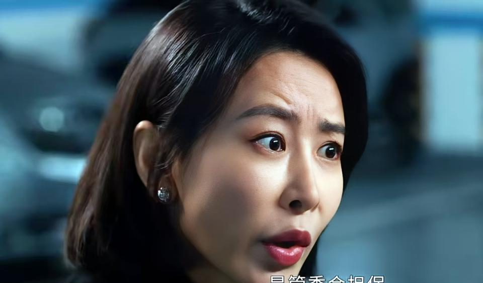 《以法之名》：李人骏虽然不是保护伞，但他迟早会被老婆柳韵拖累！李人骏是海东省东