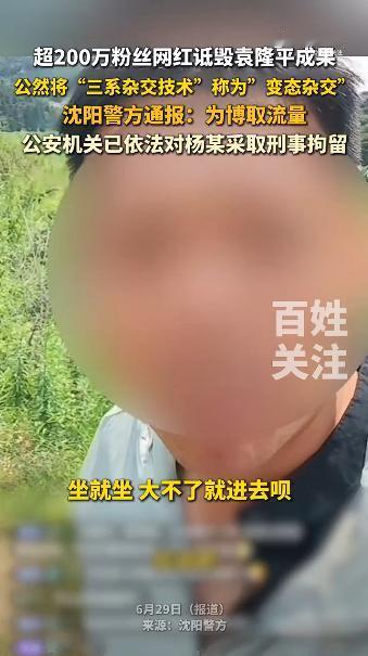 杨某诋毁袁隆平院士科研成果被刑事拘留。一个在全平台坐拥200多万粉丝、自称“杨