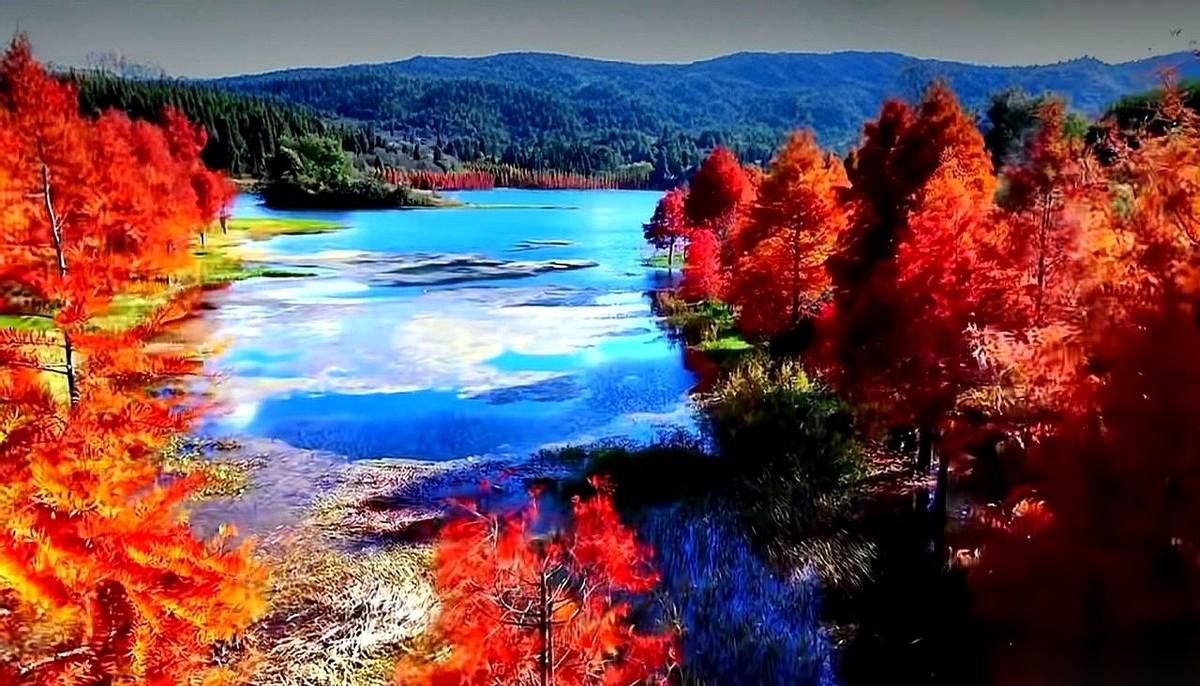 我今天真的被昆明“骗”了。我发誓，这真的不是在国外，也不是什么加了厚重滤镜的壁