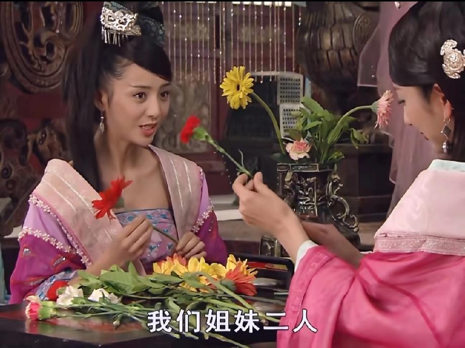 重温《母仪天下》里的赵飞燕和赵合德，这对姐妹花真是各有各的妙处。有人说赵飞