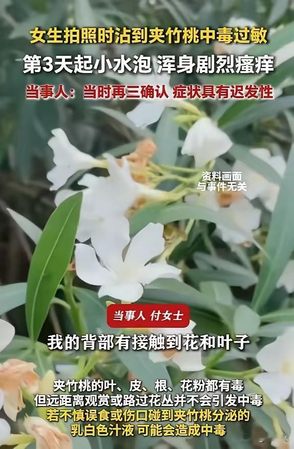 拍氛围感照片栽大跟头！泉州女子嘴叼小白花取景，三天后满身水泡痛不堪言6月6日