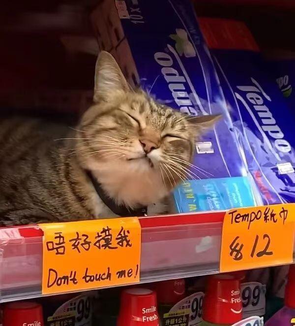 我偏要