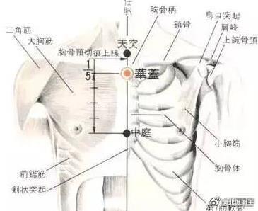 10月14日北派实时，北派古法长生图，强通八万四千气脉，中医穴位流注，返老还童，长寿过百岁。明日，丙