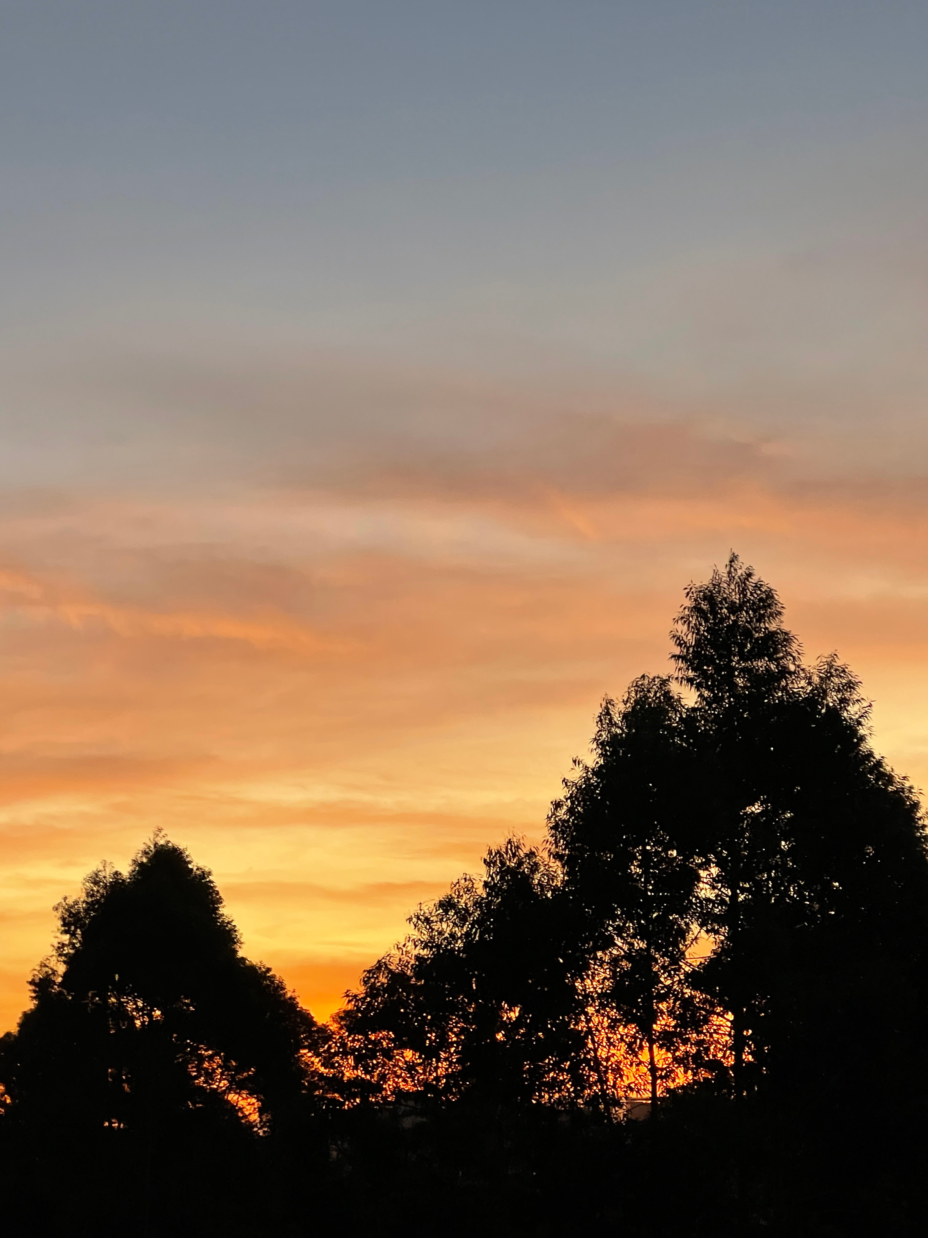 勿在别人心中，修行自己；勿在自己心中，强求别人。在自己的世界里独善其身，在别人