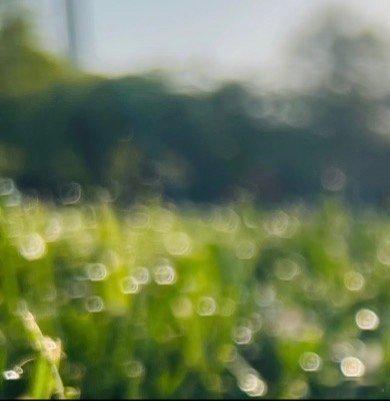 每日一善阳光信用每日一善生活的天空不可能永远清澈透明，有风雨也是常事