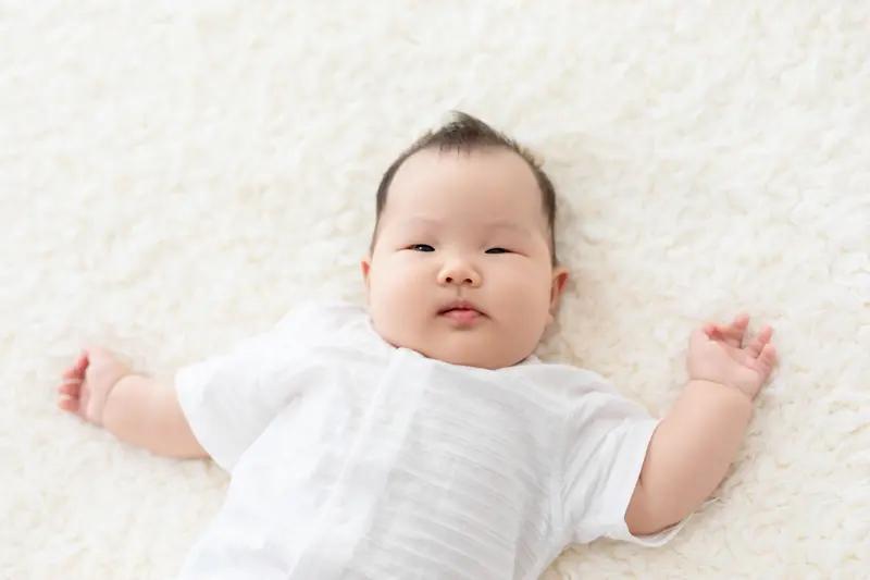 一、申领时间•开始时间：2026年1月5日•系统升级测试时间：202