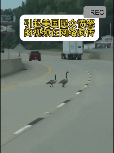 最近外网一段视频引发了热议，美国网民的愤怒都快溢出屏幕了。原来是在美国一条公路