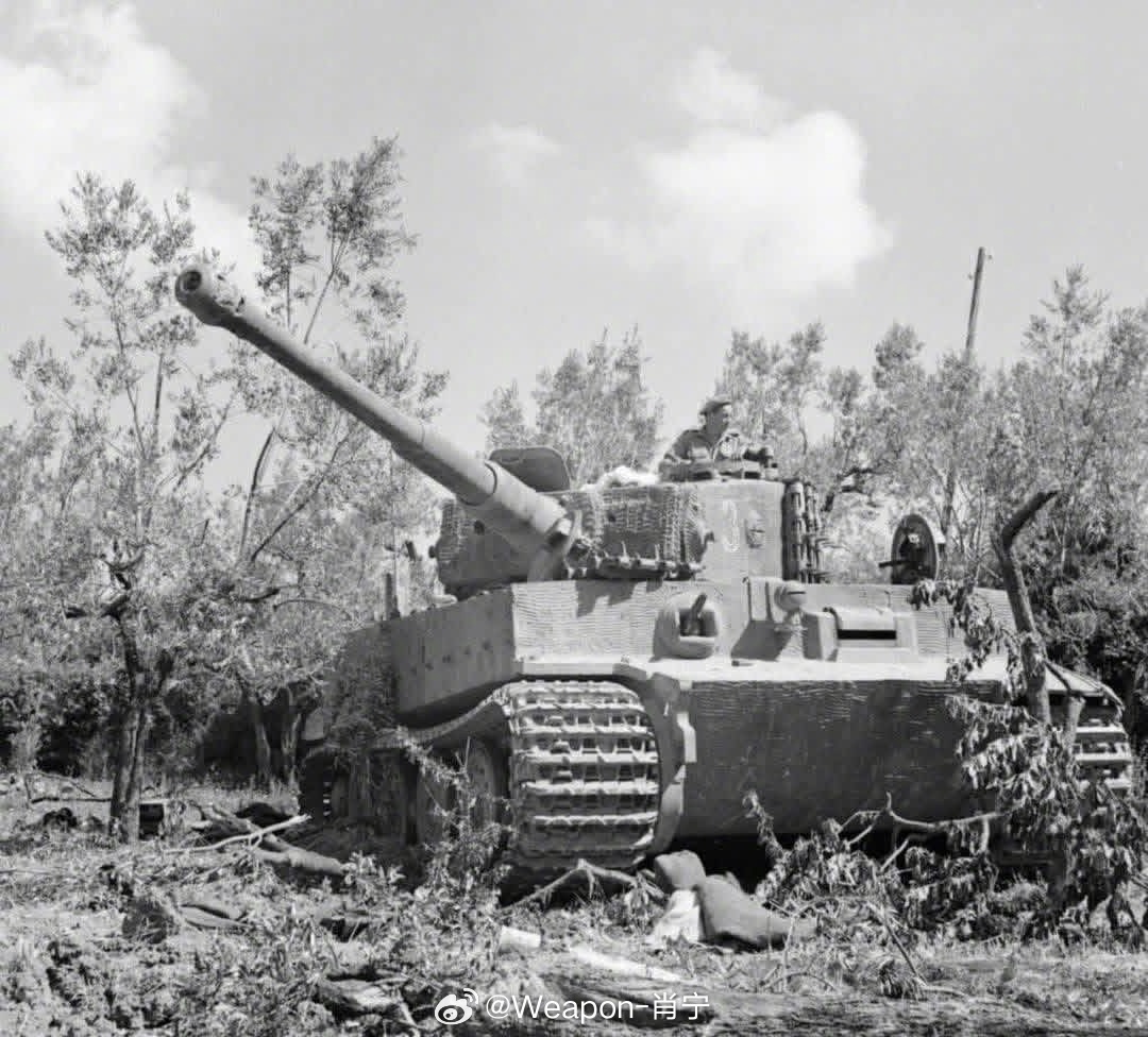 烽火问鼎计划照片中的历史被俘获的德国虎式坦克——意大利托斯卡纳罗马拉，1944