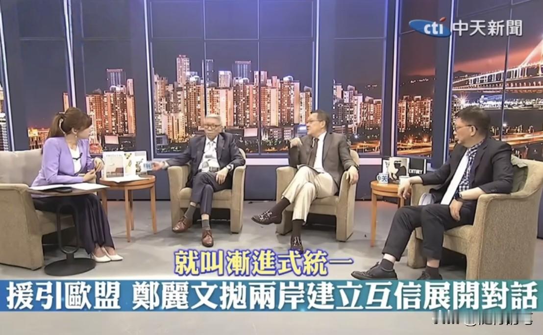 郑丽文抛出“欧盟模式”，帅化民和介文汲的分析还是不如苑举正来得透彻。3人同在