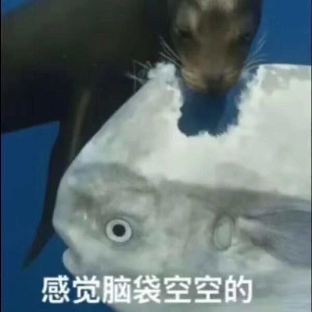 抽象实用表情包