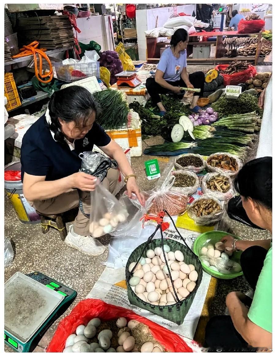 我和女儿商量好了，不再拼命内卷，选择慢下来生活。31岁研究生女儿从上海撤回小