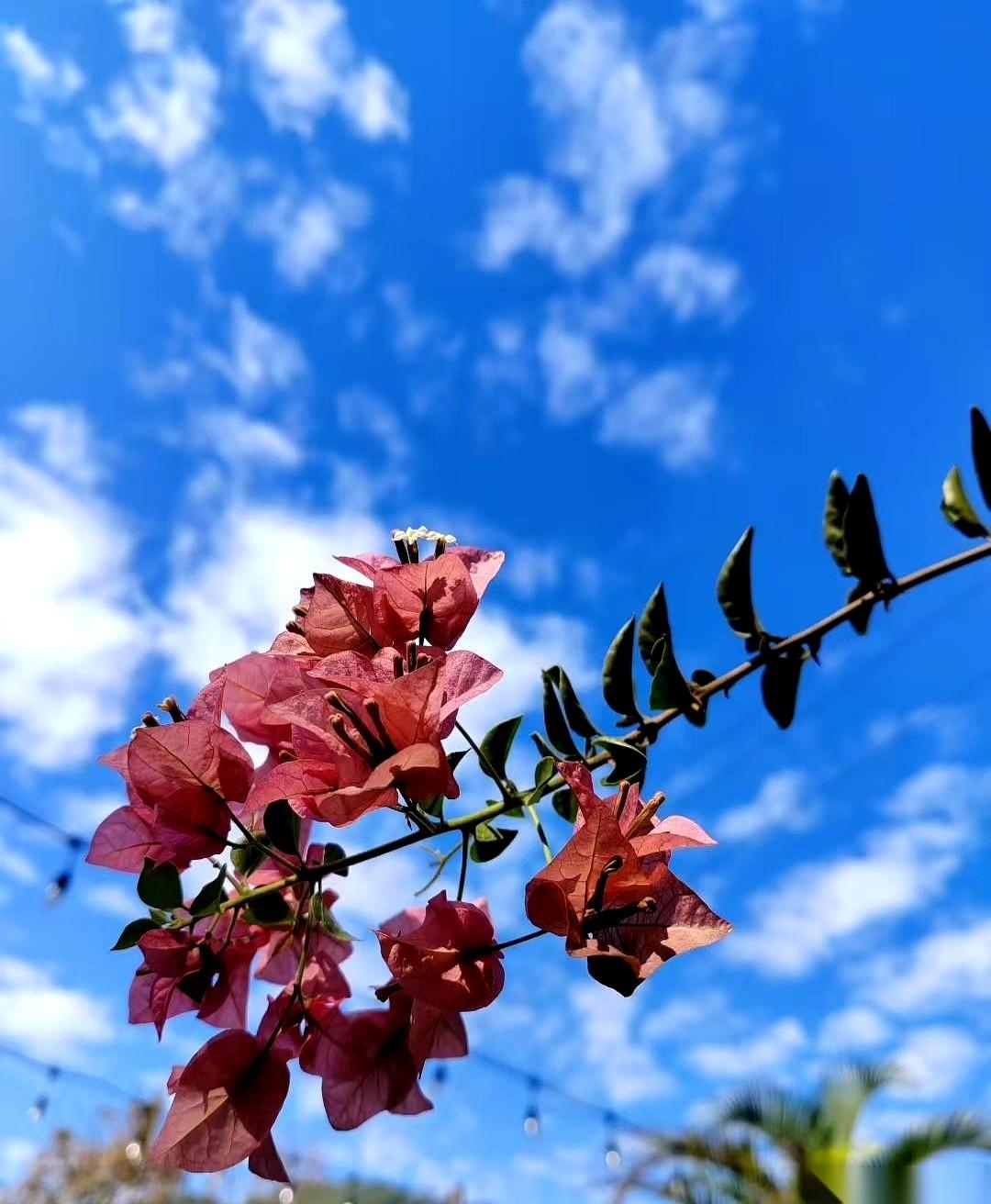 我女儿，死活不肯回我们小城。大学在南宁读的，心也野了，说毕业就要留在那。我劝