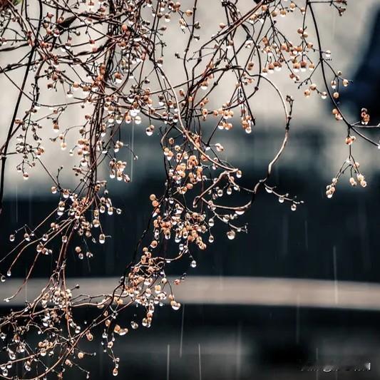 上联:细雨催红千树杏下联:轻风染绿一畦春上联:仄仄平平平仄仄下联:平平仄仄