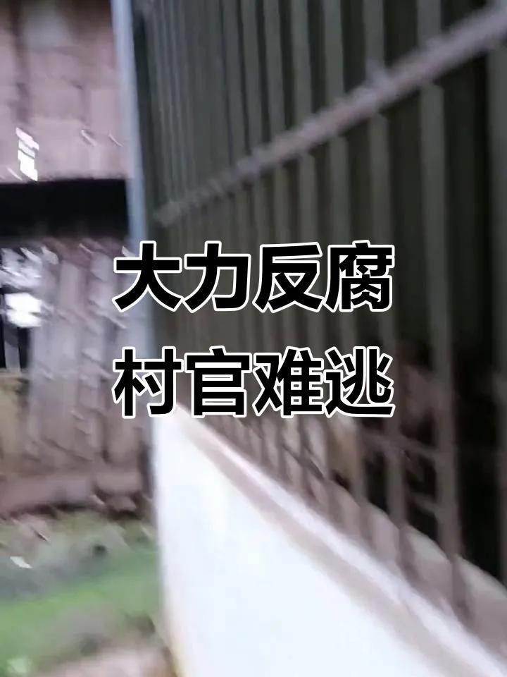 中纪委反腐向基层下沉，各地连查村官，释放什么信号？中纪委反腐从党政机关一路