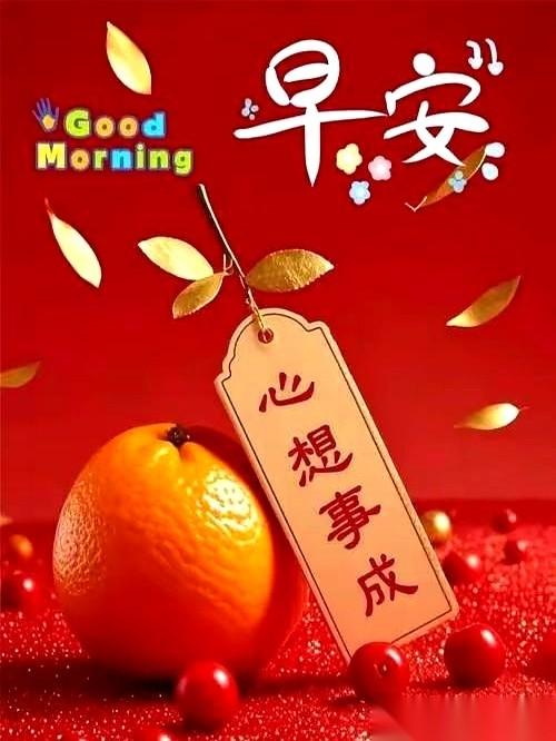 什么叫通透？我告诉你，就是被生活反复“盘”过之后，终于不跟自己较劲了。就是终