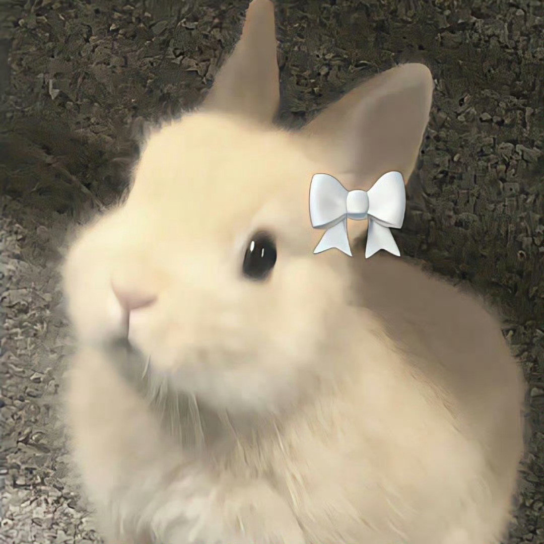 虞书欣宝宝你就是一只小兔叽🐰