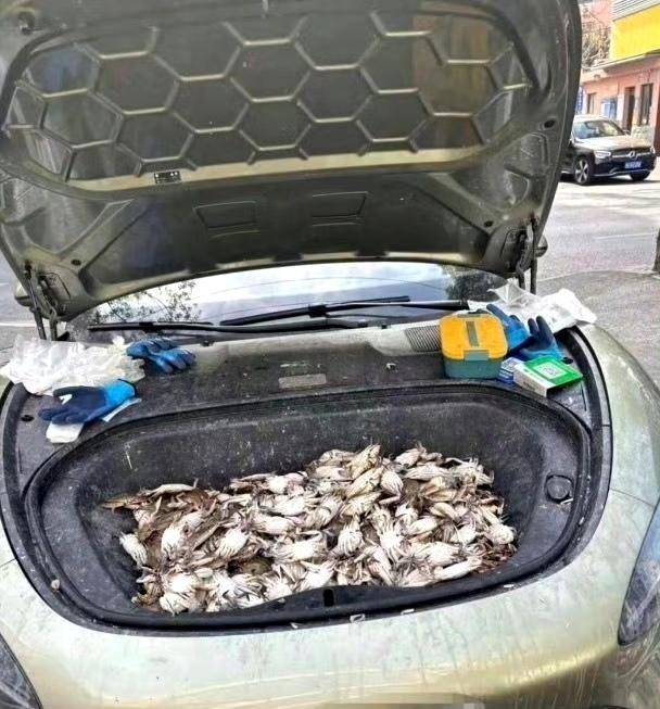 这车主是个狠人。