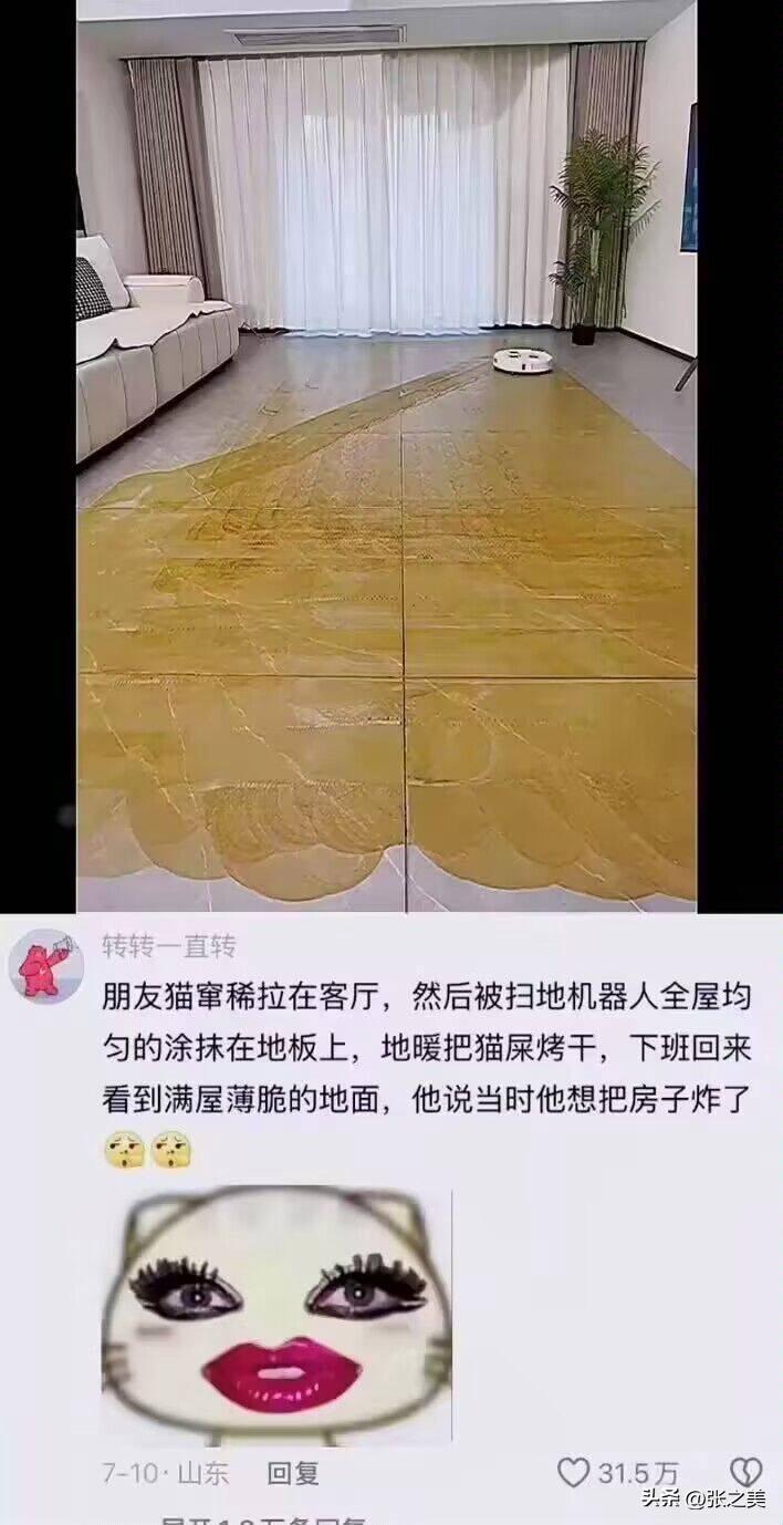 养猫的人千万别碰扫地机器人！不然你可能收获一幅“黄金满地”的抽象画，还是被地暖烤