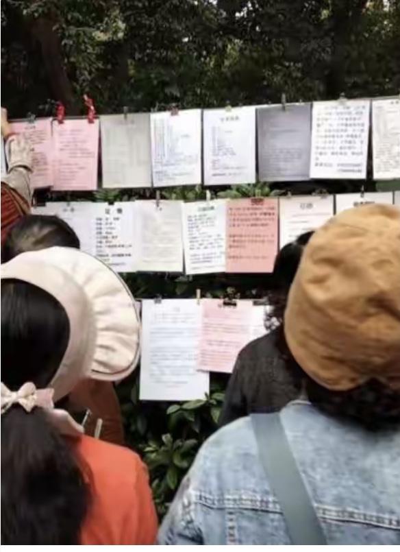 广州天河公园相亲角，那叫一个“人间真实”！今天去逛公园看到树上挂的那卡片