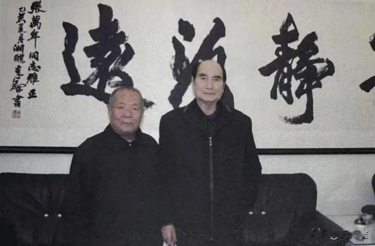 1991年3月，那天下大雪，济南军区司令员张万年却突然要去菏泽单县，寻找他当年的