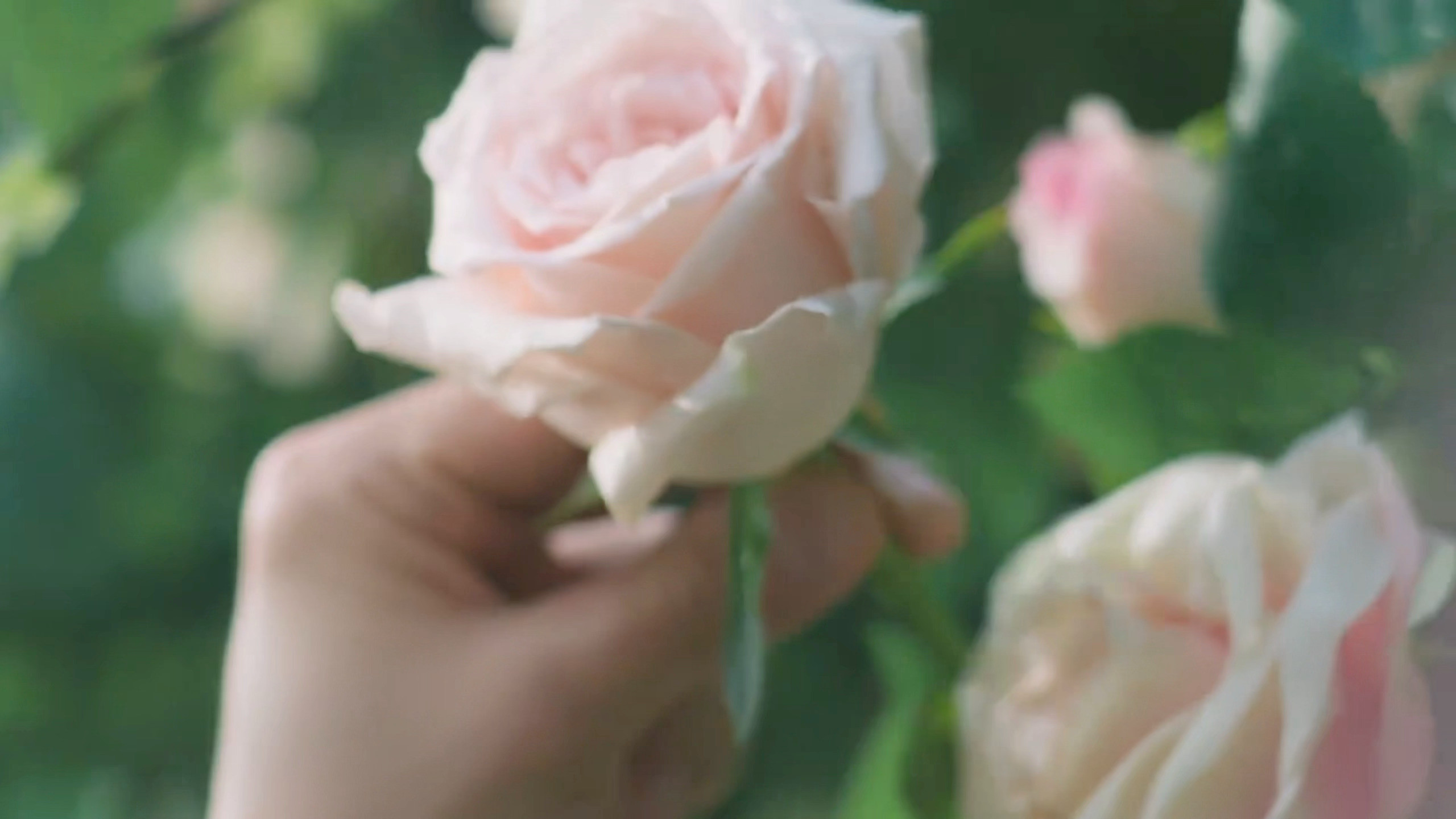 也太好看了吧！花样男子🈶！！！