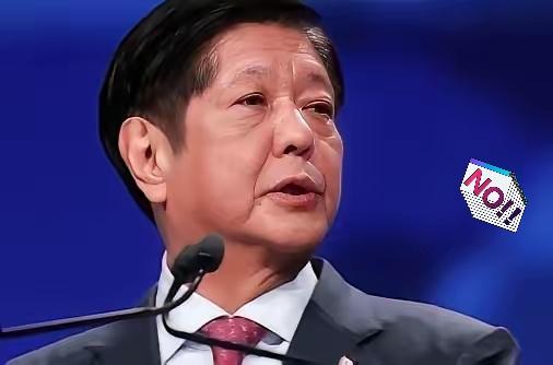 想不通！真的想不通我们刚刚宣布对菲律宾遭受台风袭击开展大规模人道主义援助，