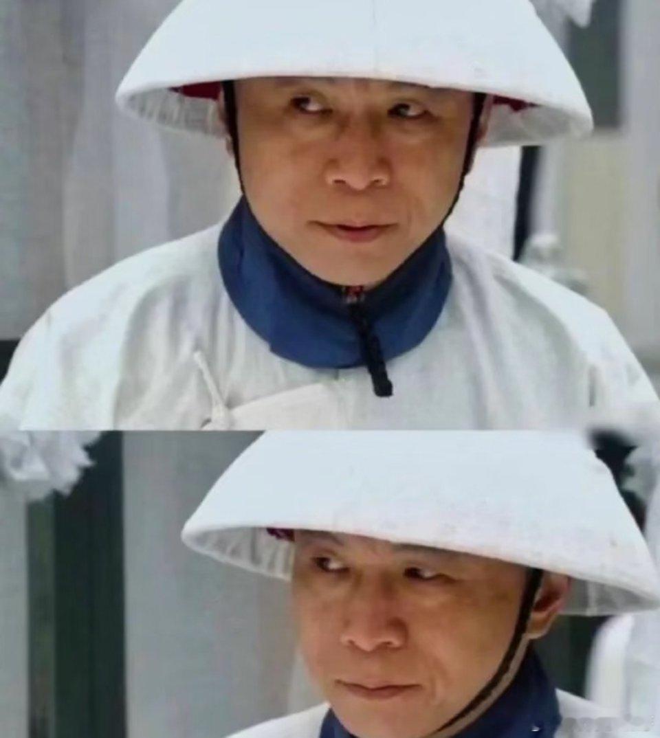 《甄嬛传》：从丽嫔被卖，看皇上严惩苏培盛之蠢丽嫔一句“狗仗人势的阉货”，给自己挖