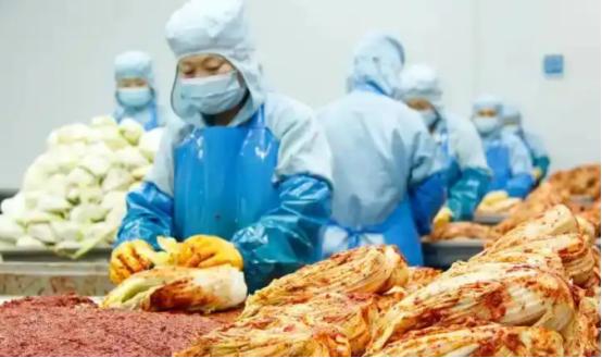 “中国要被我们拖垮了！”2024年，韩国上千人拒绝食用从中国进口的白菜，本想给中