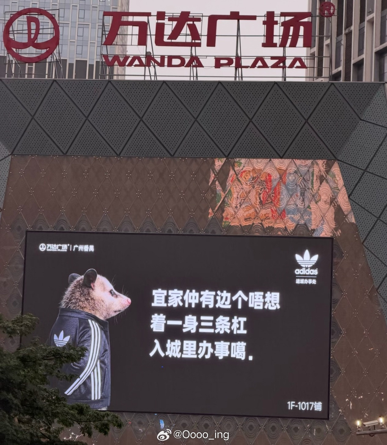 阿迪达斯品牌全线代言人李现真有意思