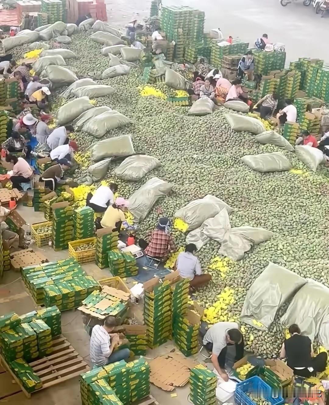 问了很多人了，都不知道他们在装什么。
