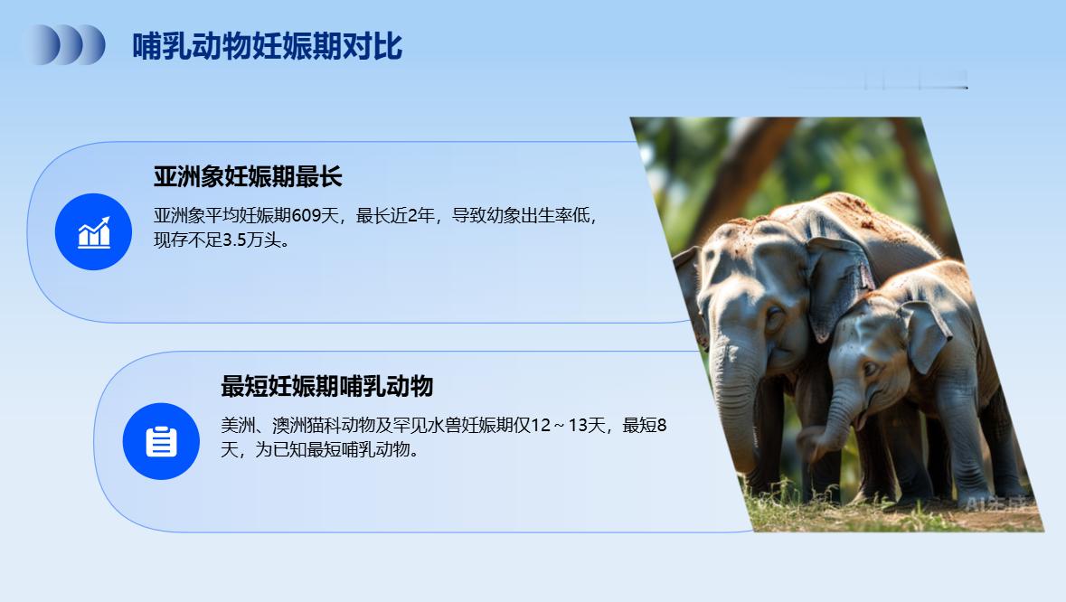 妊娠期最长和最短的哺乳动物亚洲象是妊娠期最长的哺乳动物。其妊娠期平均为609天（