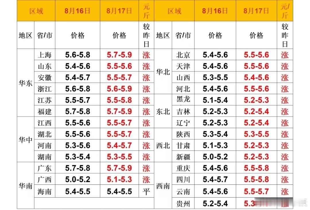 每日猪价