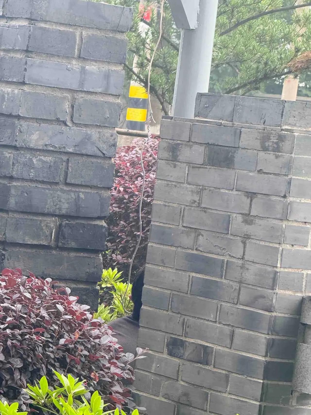 这个专用设施能充电吗？还是这个人在弄什么数据？太奇怪了！坐在那里老半天了，
