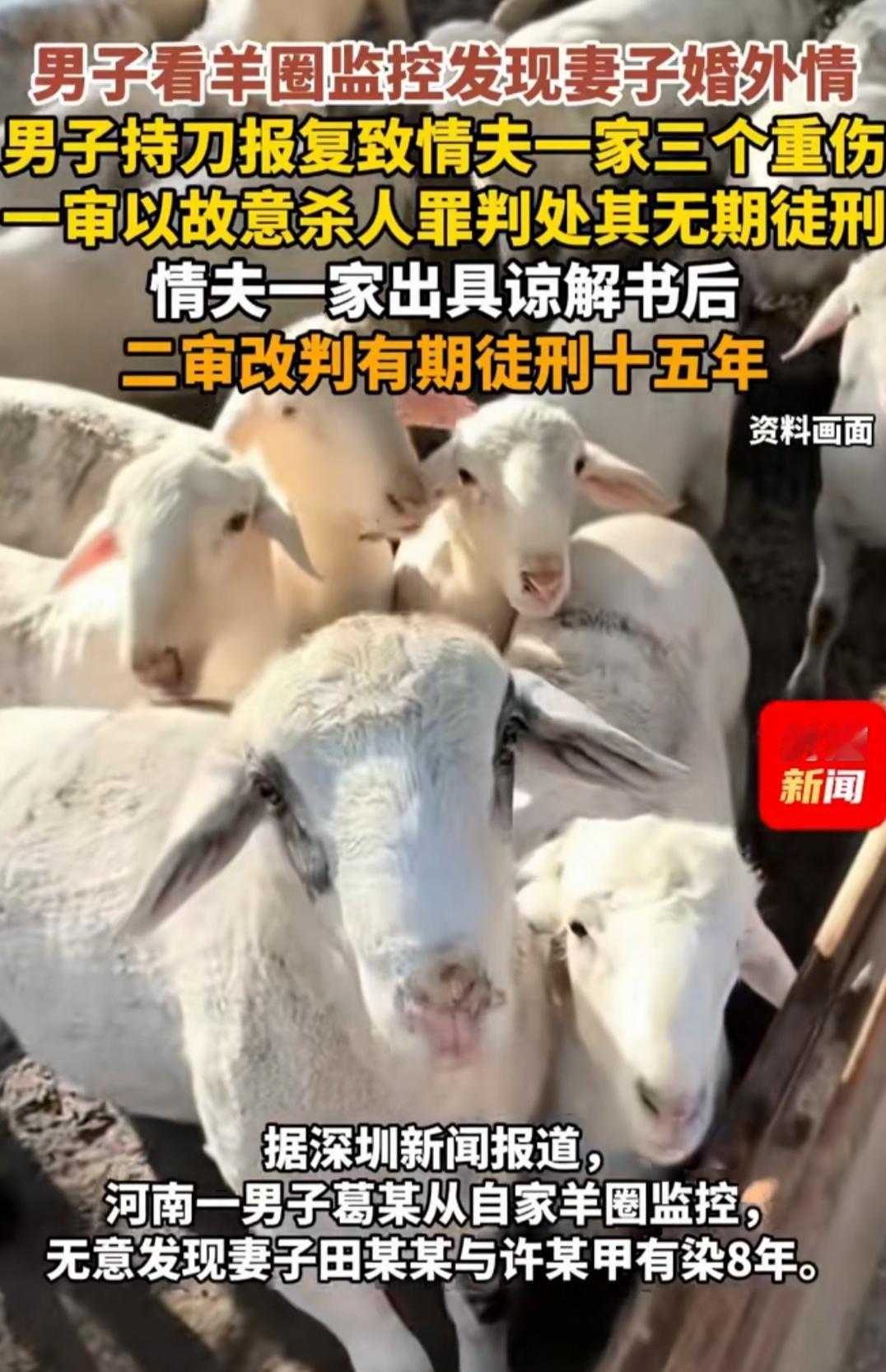 羊圈监控拍下8年背叛！男子持刀复仇，两份谅解书改写结局河南原阳的一个普通村
