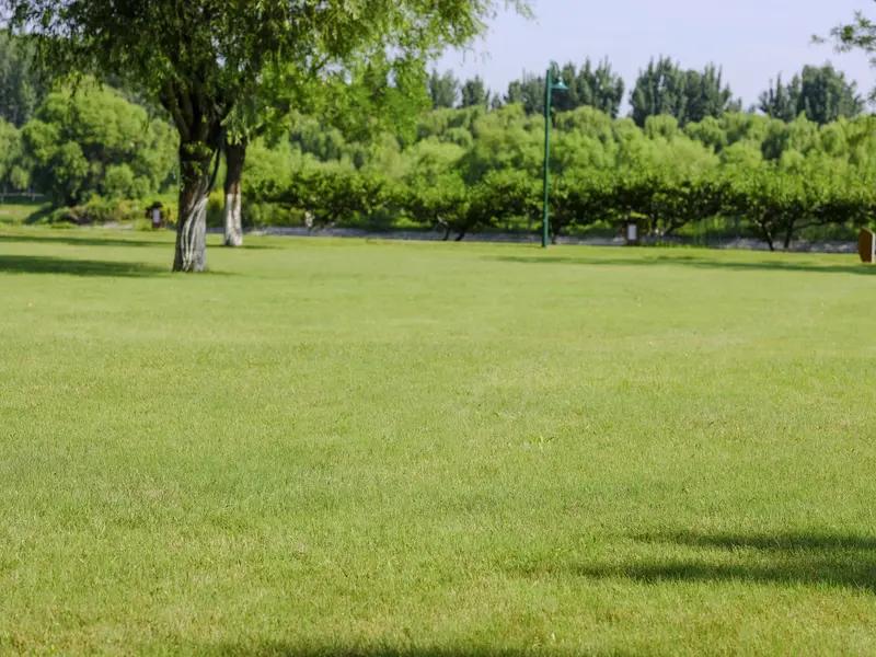 公园的美景总是让人忍不住拿起相机随拍。冬天的渠水公园别有韵味，清晨宁静，傍晚夕阳