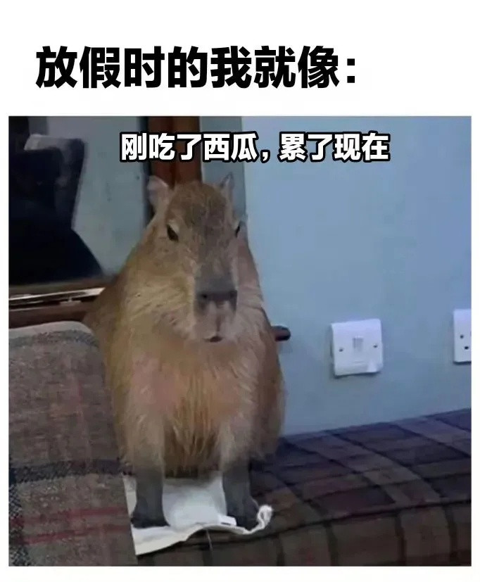 这就是我金句爆梗挑战赛/meme​​​