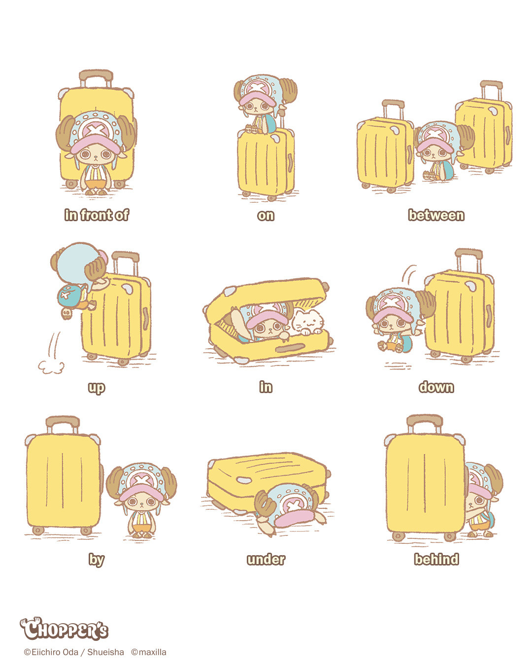 海贼王海贼王乔巴小课堂开课啦!