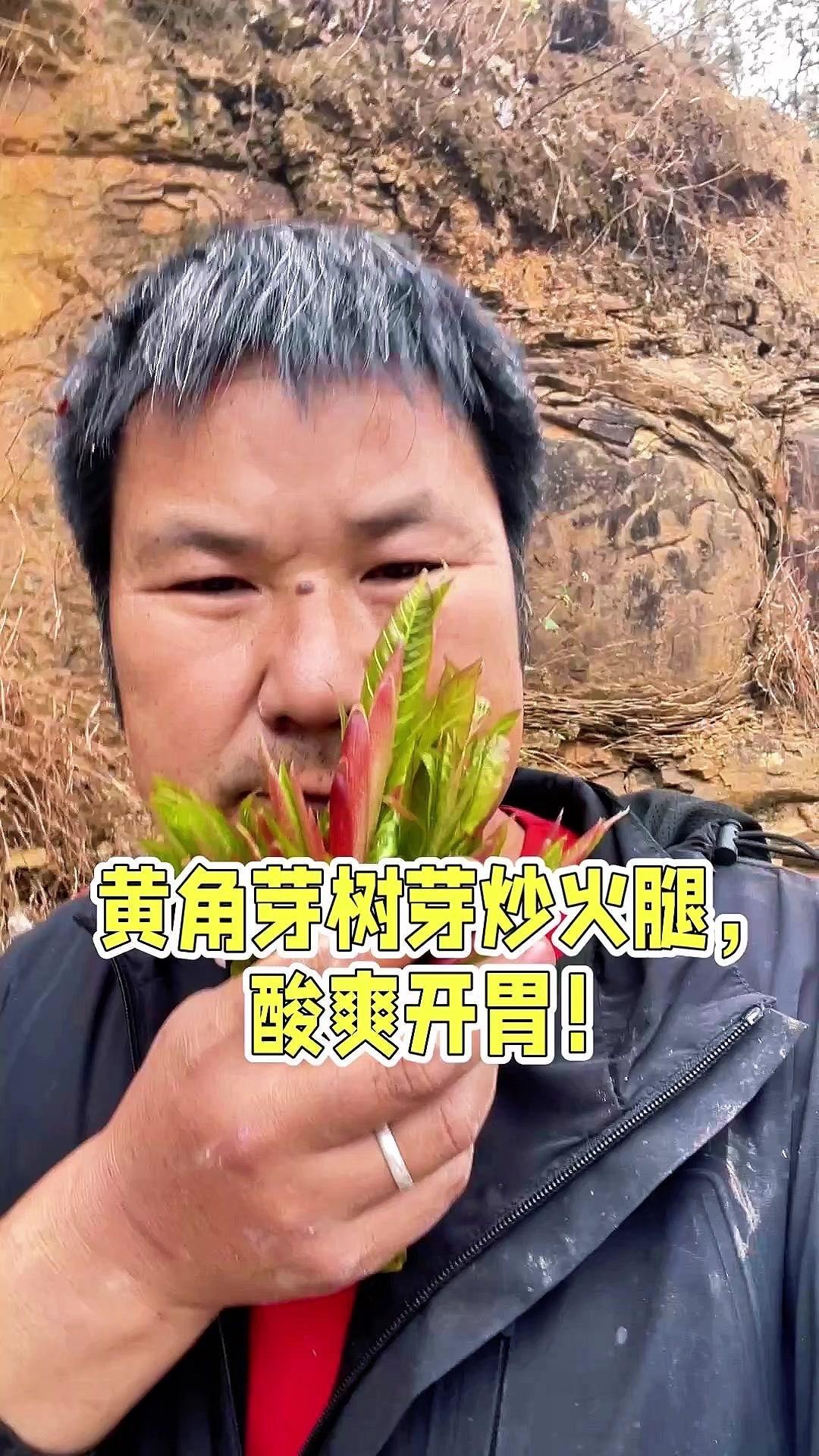 春天的黄角芽树芽，终于找到能直接吃的嫩头！洗干净焯水后和火腿一起炒，酸溜溜的特别