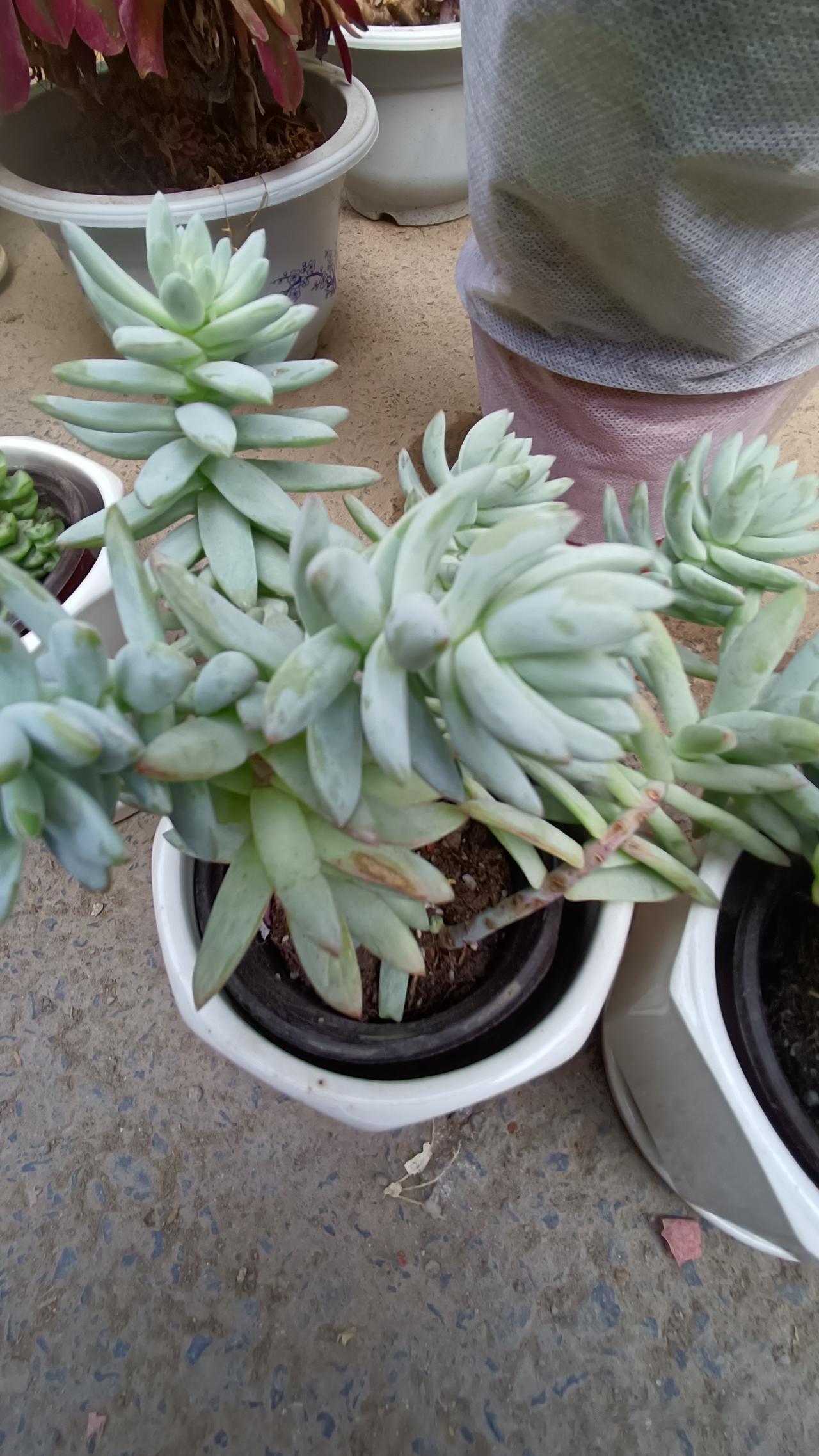 人最大的福报，其实就这几样人到了一定年纪，才会彻底看透：人最大的福报，从